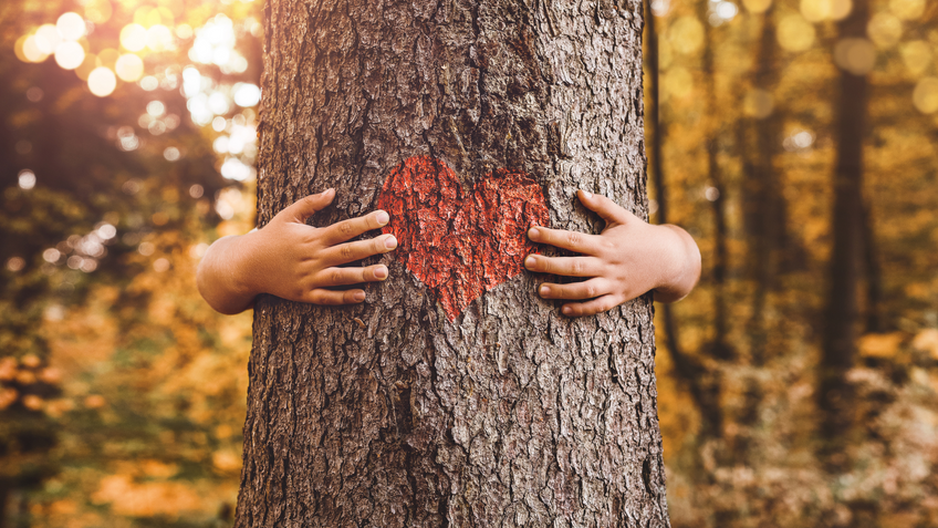 The importance of community