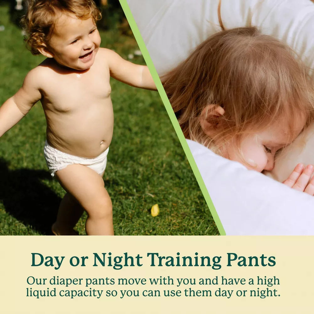 Bamboo Training Diapers - Pack