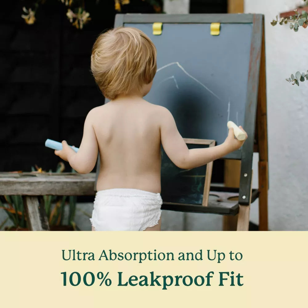 Bamboo Training Diapers - Pack