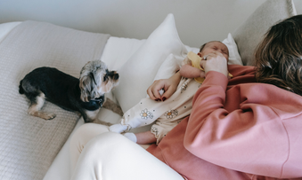 Easing the Transition: Bringing Home a New Baby with Pets